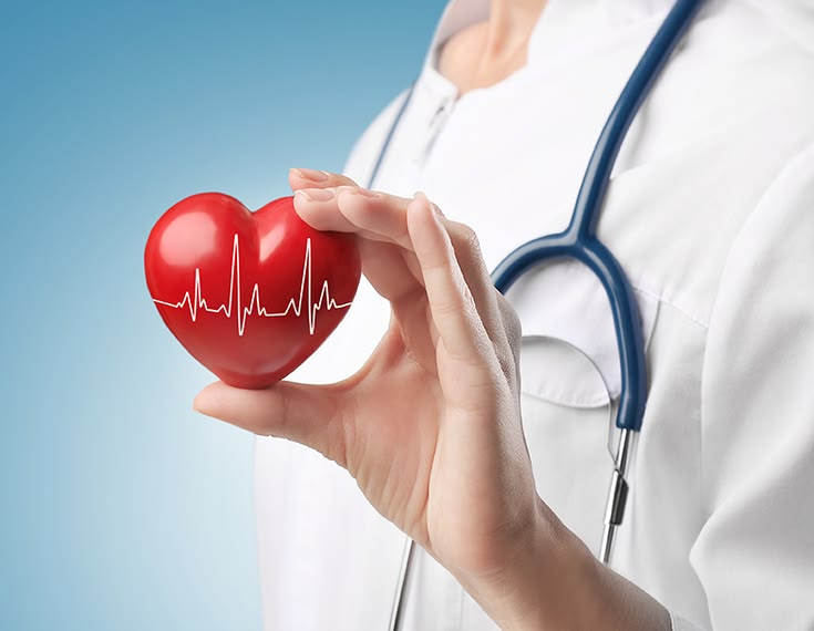 Bác sĩ cầm biểu tượng trái tim, minh họa nguyên liệu điều trị tim mạch